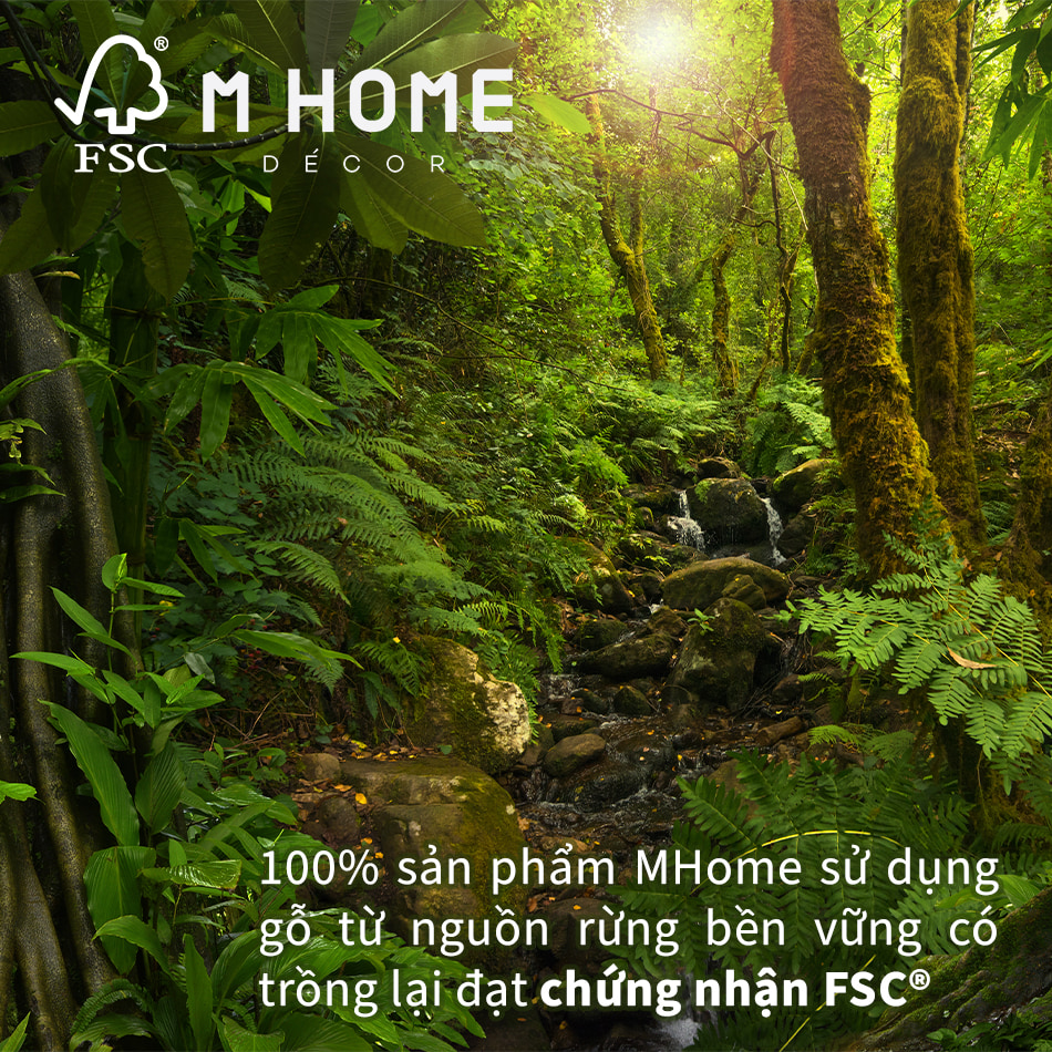 M Home Decor đạt chứng nhận FSC - Bảo vệ và phát triển rừng bền vững